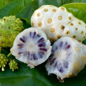 Noni
